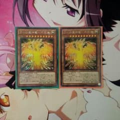 『遊戯王』ラーの翼神竜　不死鳥(ゴッドフェニックス)×2のサムネイル