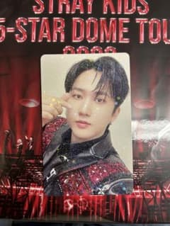 straykids チャンビン 5-STAR DOME TOUR トレカのサムネイル