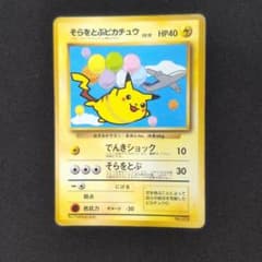 そらをとぶピカチュウ_ANA 「ジェットでゲットだ！Wチャンス