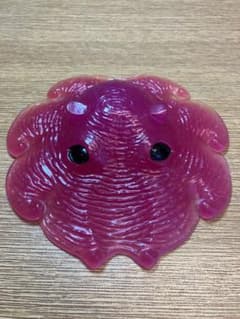 【深海マザー】カップメンダコ　箱なしのサムネイル