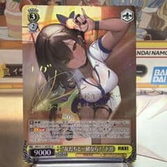 WS NIKKEのサムネイル