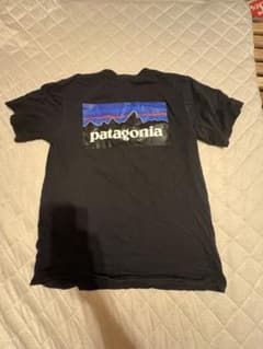 Patagonia Responsibili-tee Tシャツのサムネイル