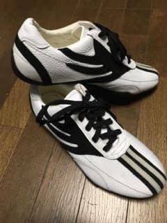 【値下げしました】ドラゴンベアードスニーカーのサムネイル