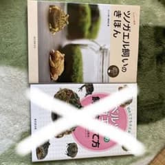 ベルツノガエル 飼い方 本のサムネイル