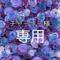 チャーリー様　専用のサムネイル