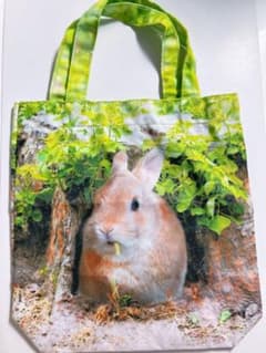 ガチャ うさぎ しっぽ 野生 もぐもぐ ミニバッグのサムネイル