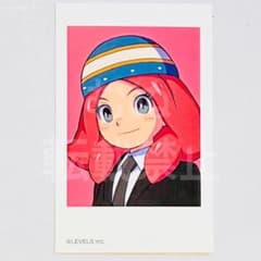 イナズマイレブン 英雄たちのヴィクトリーロード ミニフォトカード