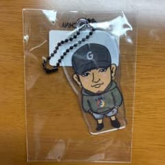 数原龍友のサムネイル