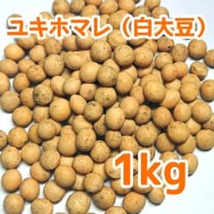味噌用】【無肥料無農薬】ユキホマレ（白大豆）2024年産1kg【北海道