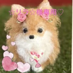 羊毛フェルト　犬　　ポメチワちゃん♡︎のサムネイル