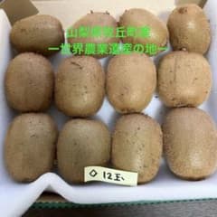 新鮮 キウイ 12個入りのサムネイル