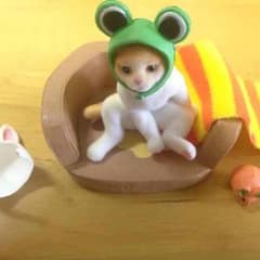 ぷちねこ日記 ⑨変身ごっこ？ リーメントのサムネイル