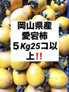 岡山県産　あたご柿（渋柿）　5Kg25個以上！のサムネイル