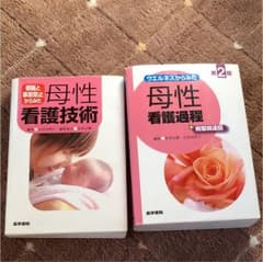 ウエルネスからみた母性看護過程 母性看護技術のサムネイル