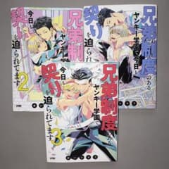 今日も兄弟制度のあるヤンキー学園で今日も契りを迫られています1〜3巻セットのサムネイル