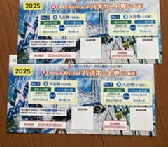 ナガシマスパーランド　パスポート券2枚のサムネイル