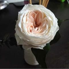 ひっこ様☆返金用☆のサムネイル