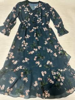 ANAYI 花柄シフォンワンピース【美品】のサムネイル