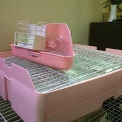 ウサギゲージのサムネイル
