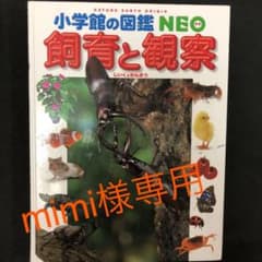 世界の昆虫 小学館の図鑑NEO 昆虫、飼育と観察のサムネイル