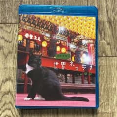 岩合光昭の世界ネコ歩き 台湾のサムネイル