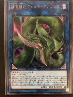 遊戯王　捕食植物　ヴェルテ・アナコンダ　ウルトラのサムネイル