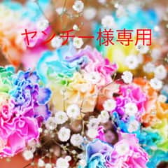 ヤンチー様専用のサムネイル