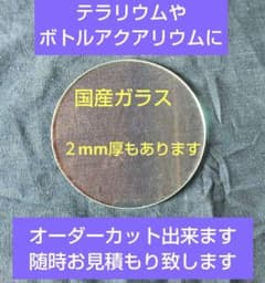 円形ガラス板３mm厚(透明)９０mmΦ(直径９cm) 糸面取り加工 １枚のサムネイル