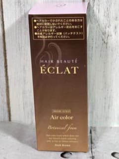 ヘアボーテ エクラ ボタニカル エアカラーフォーム【ダークブラウン】80gのサムネイル