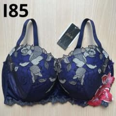 ワコール サルート 56G ベルエポック リッチヴェールブラ I85 下着