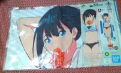 SSSS.GRIDMAN A상 다카타 롯카 등신대 비주얼 크로스