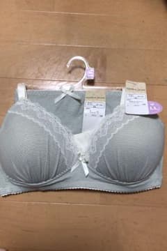 ブラ　ショーツ　セット　グレー系　L Lサイズのサムネイル