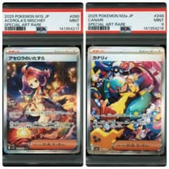 PSA9セット売り アセロラ&カナリィ ACEROLA'S M.&CANARI PSA9セット売り アセロラ&カナリィ ACEROLA'S M.&CANARI - メルカリ