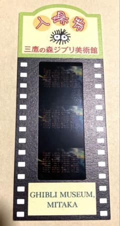 m99889653517_1.jpg?1751552273