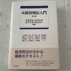 新経済刑法入門(第3版)のサムネイル