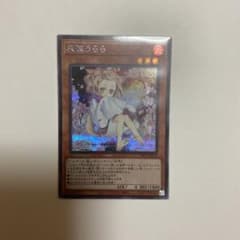 遊戯王 灰流うらら 絵違い シークレットのサムネイル