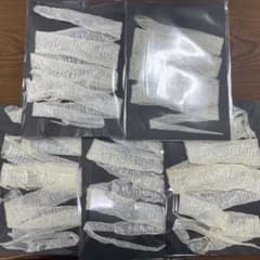 白蛇の抜け殻　5点セットのサムネイル