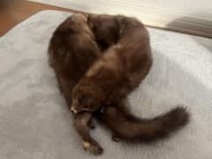 ミンク ファー マフラー リアルファー ブラウンのサムネイル