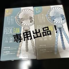 FLEXI FAN Cool 핸디 팬 2개 세트