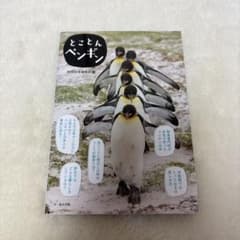 とことんペンギン BIRDER編集部編のサムネイル