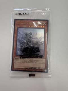 遊戯王 日本選手権2026 プロモ the lady's protectors 遊戯王 日本選手権2026 プロモ The Lady's Protectors - メルカリ