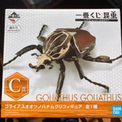 一番くじ 昆虫 C賞 ゴライアスオオツノハナムグリ フィギュアのサムネイル