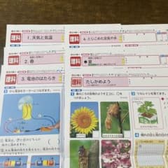 理科 小学四年生　カラーテストのサムネイル
