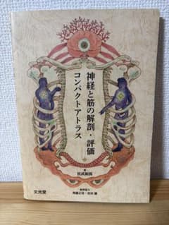 裁断済】神経と筋の解剖・評価 コンパクトアトラス - メルカリ