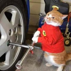 メンマさん 専用のサムネイル