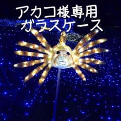 アカコ様 専用のサムネイル