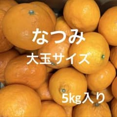 有田みかん　純宝丸　なつみ 大玉サイズ5㎏入りのサムネイル