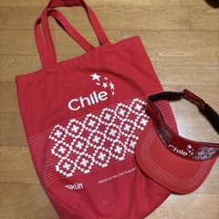 Expo Osaka 2025 チリパビリオン トートバッグ&サンバイザー - メルカリ