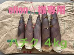 岡山県産 自生たけのこ 4kg 採れたてのサムネイル