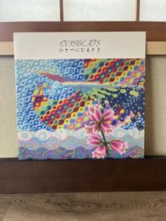 ENVSBEATS ひとつになろう　レコード　2LP 美品のサムネイル